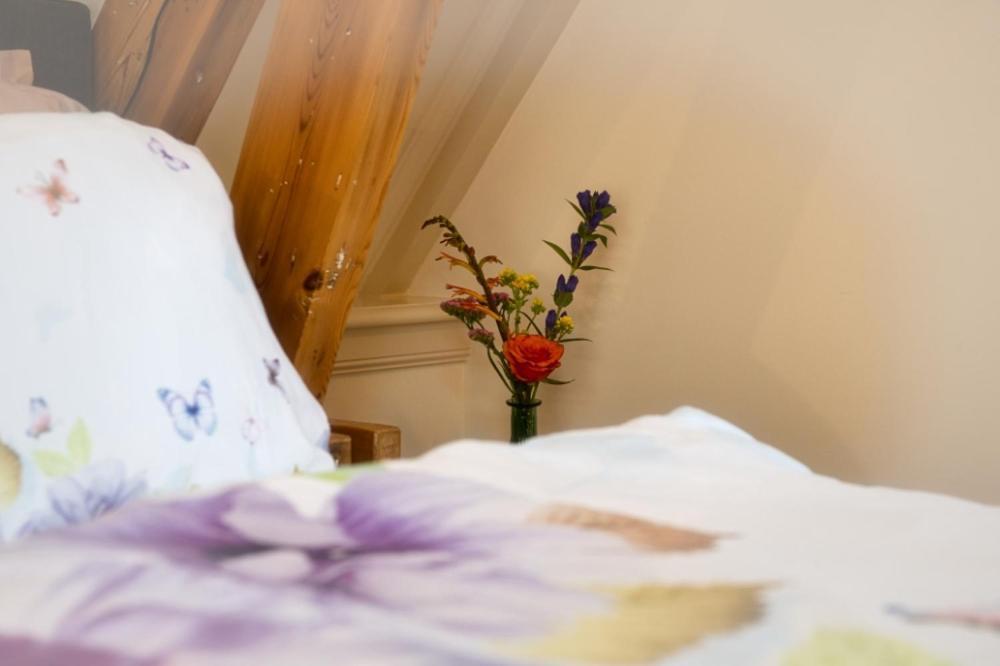 Com-In Apartment Alkmaar Ngoại thất bức ảnh
